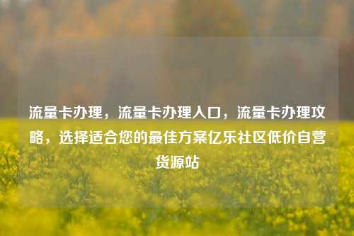 流量卡办理，流量卡办理入口	，流量卡办理攻略，选择适合您的最佳方案亿乐社区低价自营货源站  第1张