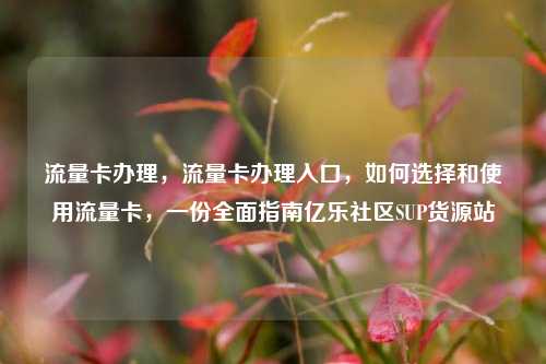 流量卡办理	，流量卡办理入口，如何选择和使用流量卡，一份全面指南亿乐社区SUP货源站  第1张