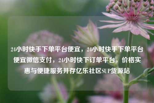 24小时快手下单平台便宜，24小时快手下单平台便宜微信支付	，24小时快下订单平台，价格实惠与便捷服务并存亿乐社区SUP货源站  第1张