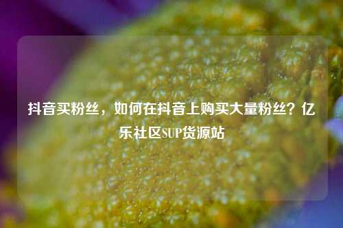 抖音买粉丝，如何在抖音上购买大量粉丝？亿乐社区SUP货源站  第1张