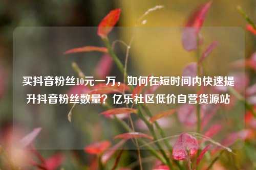 买抖音粉丝10元一万	，如何在短时间内快速提升抖音粉丝数量？亿乐社区低价自营货源站  第1张