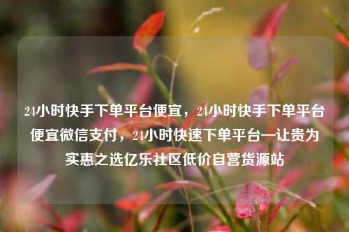 24小时快手下单平台便宜，24小时快手下单平台便宜微信支付，24小时快速下单平台—让贵为实惠之选亿乐社区低价自营货源站  第1张