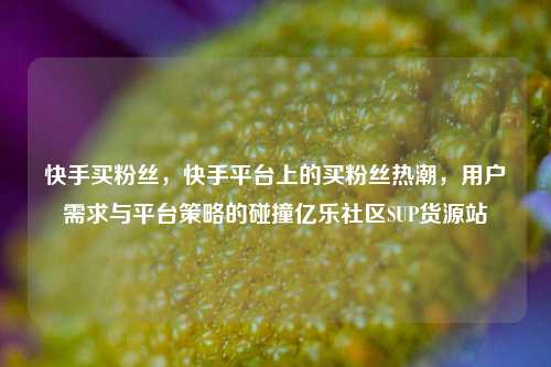 快手买粉丝，快手平台上的买粉丝热潮	，用户需求与平台策略的碰撞亿乐社区SUP货源站  第1张