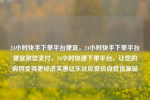 24小时快手下单平台便宜，24小时快手下单平台便宜微信支付，24小时快速下单平台，让您的购物变得更经济实惠亿乐社区低价自营货源站  第1张