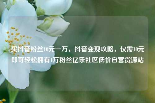 买抖音粉丝10元一万，抖音变现攻略	，仅需10元即可轻松拥有1万粉丝亿乐社区低价自营货源站  第1张