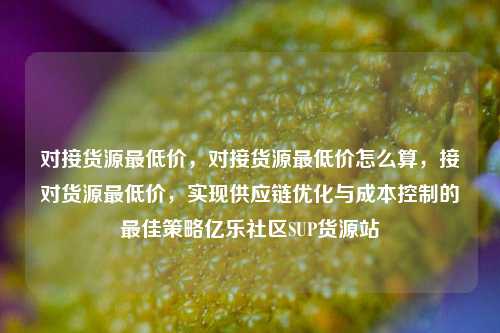 对接货源最低价，对接货源最低价怎么算	，接对货源最低价，实现供应链优化与成本控制的最佳策略亿乐社区SUP货源站  第1张