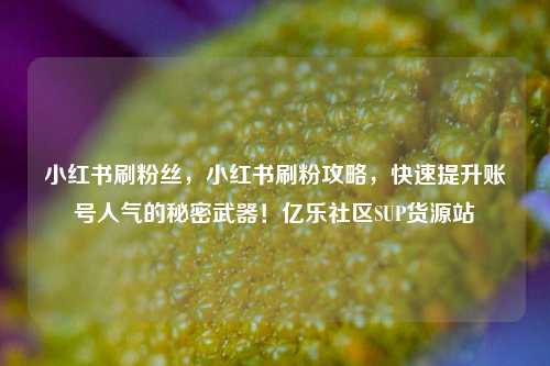 小红书刷粉丝，小红书刷粉攻略	，快速提升账号人气的秘密武器！亿乐社区SUP货源站  第1张