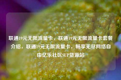 联通19元无限流量卡，联通19元无限流量卡套餐介绍，联通19元无限流量卡，畅享无尽网络自由亿乐社区SUP货源站  第1张