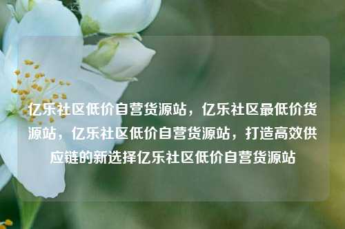 亿乐社区低价自营货源站，亿乐社区最低价货源站	，亿乐社区低价自营货源站，打造高效供应链的新选择亿乐社区低价自营货源站  第1张