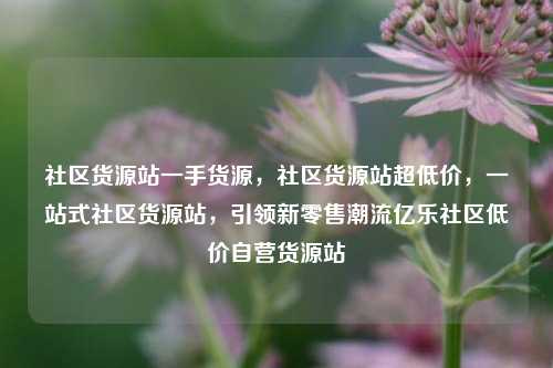 社区货源站一手货源，社区货源站超低价	，一站式社区货源站，引领新零售潮流亿乐社区低价自营货源站  第1张