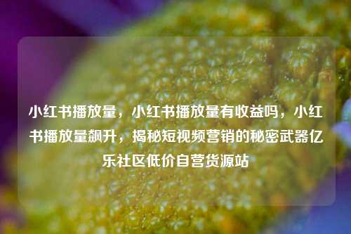 小红书播放量，小红书播放量有收益吗	，小红书播放量飙升，揭秘短视频营销的秘密武器亿乐社区低价自营货源站  第1张