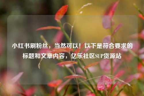 小红书刷粉丝，当然可以！以下是符合要求的标题和文章内容，亿乐社区SUP货源站  第1张