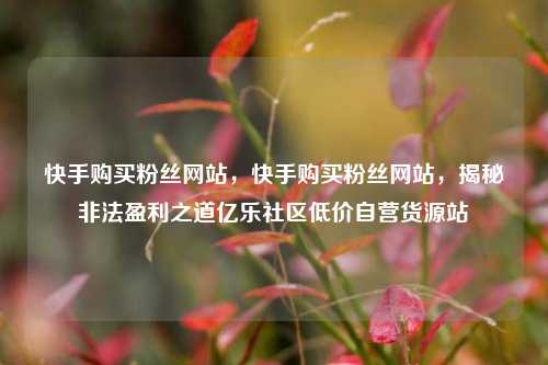 快手购买粉丝网站	，快手购买粉丝网站，揭秘非法盈利之道亿乐社区低价自营货源站  第1张