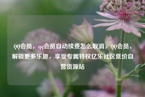 QQ会员，qq会员自动续费怎么取消，QQ会员	，解锁更多乐趣，享受专属特权亿乐社区低价自营货源站  第1张
