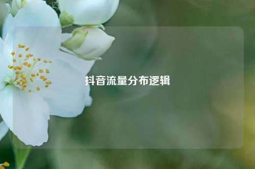 抖音流量分布逻辑  第1张