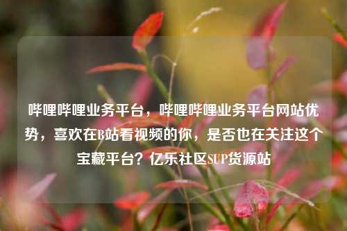 哔哩哔哩业务平台，哔哩哔哩业务平台网站优势，喜欢在B站看视频的你，是否也在关注这个宝藏平台？亿乐社区SUP货源站  第1张